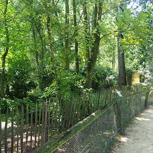 Eurasian crane exhibit,, 2019-08-04