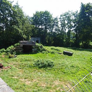 First non-subspecies specific tiger exhibit, 2019-08-04