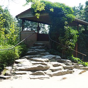 Tiger viewing area above and next to tiger holding building, 2019-08-04