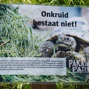 Sign about (lack of) weed management at the zoo, 2019-08-04