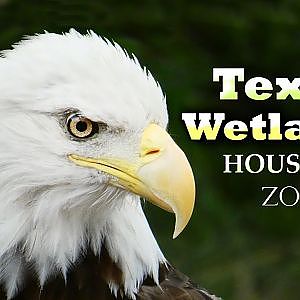 Zoo Tours | The New! Texas Wetlands
