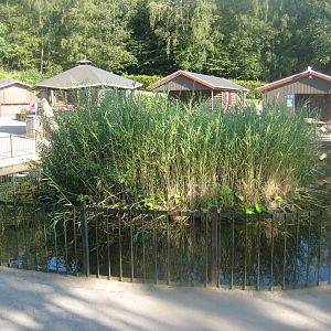 Madsbyparken - Turtle pond