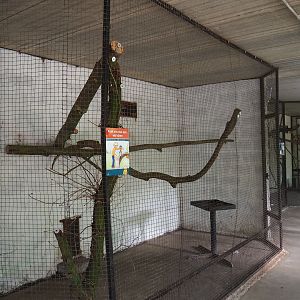 Indoor parrot aviaries, 2019-08-04