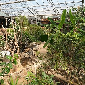 View in tropical house with tortoise paddocks, 2019-08-04