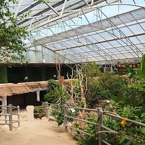 View in tropical house with pathway alongside the tortoise paddocks, 2019-08-04