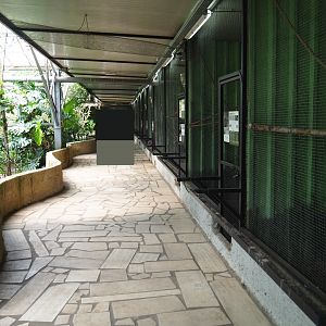 Pathway alongside bird and small mammal cages on the second level of the tropical house, 2019-08-04