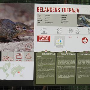 Belanger's treeshrew signage, 2019-08-04