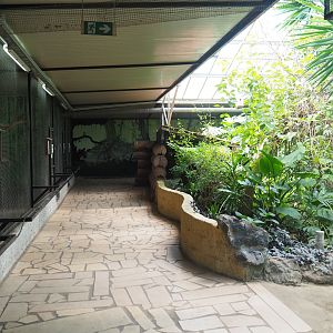 Pathway alongside bird and small mammal cages on the second level of the tropical house, 2019-08-04