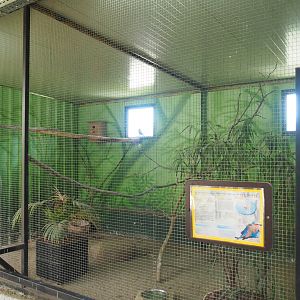Lilac-breasted roller and Crested wood partridge aviary, 2019-08-04