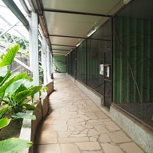 Pathway alongside bird and small mammal cages on the second level of the tropical house, 2019-08-04
