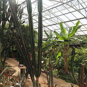 View in tropical house, 2019-08-04
