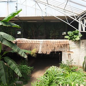 Tropical house - Two levels of cages, 2019-08-04