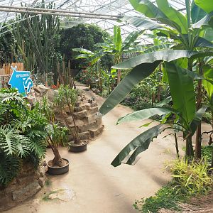 View in tropical house, 2019-08-04