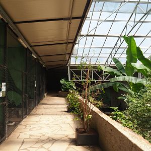 Pathway alongside bird and small mammal cages on the second level of the tropical house, 2019-08-04