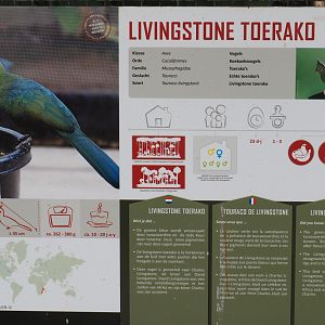 Livingstone's turaco signage, 2019-08-04