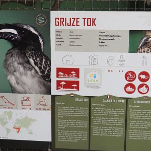African grey hornbill signage, 2019-08-04