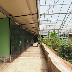 Pathway alongside bird and small mammal cages on the second level of the tropical house, 2019-08-04