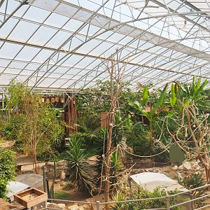 View in tropical house, 2019-08-04