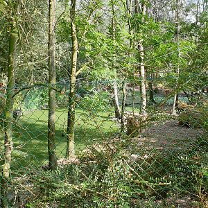 Large Crane - Muntjac - ( water ) fowl enclosure