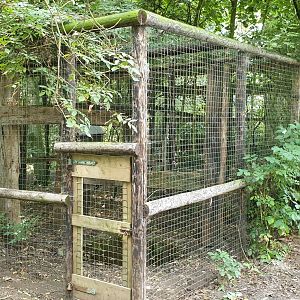 Coati enclosure