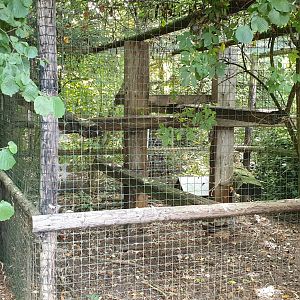 Second Coati enclosure - connected with the first one