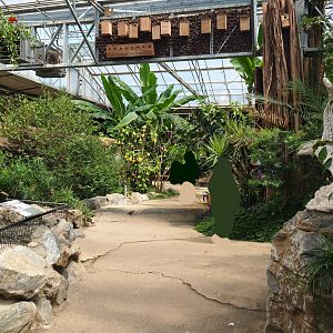 View of pathway in tropical house, 2019-08-04