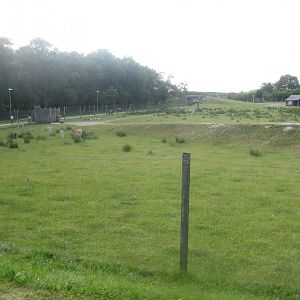Arden Dyrepark - Deer exhibit #1