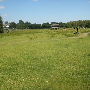 Arden Dyrepark - Deer exhibit #1