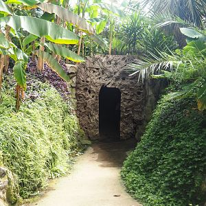 Access to reptile corridor, 2019-08-04