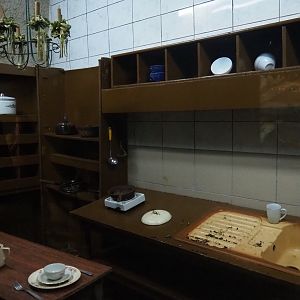 Domestic brown or Norway rat kitchen exhibit, 2019-08-04