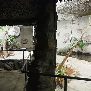 Philippine crocodile exhibit, 2019-08-04