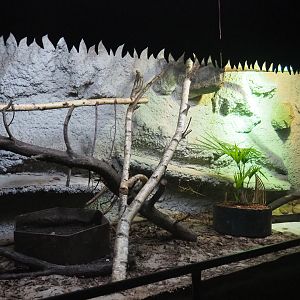 Terrarium - Inhabitants not remembered, 2019-08-04