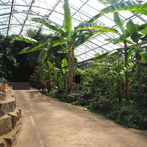 View in tropical house, 2019-08-04