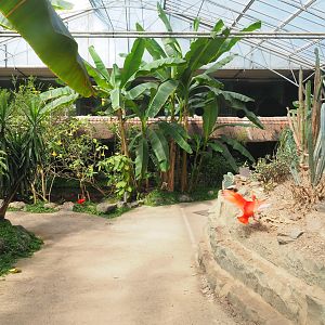 View in tropical house, 2019-08-04