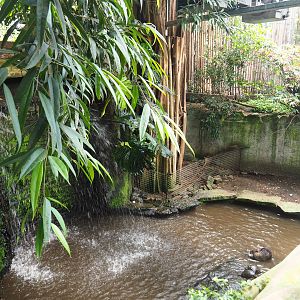 Nutria, Yellow-bellied slider and Red-eared slider exhibit, 2019-08-04