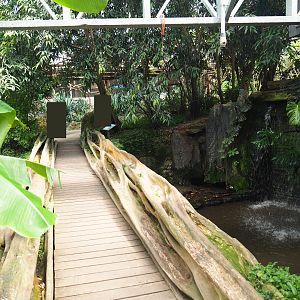 Bridge over the Nutria, Yellow-bellied slider and Red-eared slider exhibit, 2019-08-04