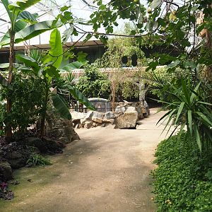 View in tropical house, 2019-08-04