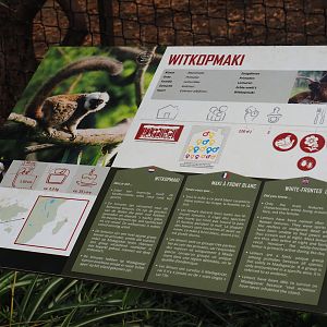 White-fronted lemur signage, 2019-08-04