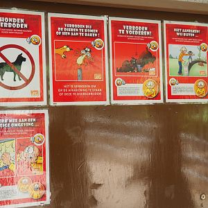 Rules in the tropical house signs, 2019-08-04