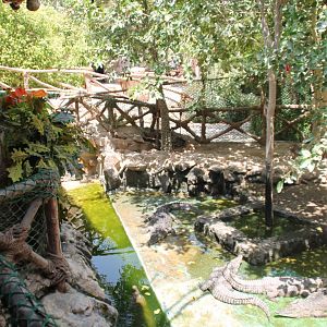 Hurghada Grand Aquarium - Nile crocodile exhibit