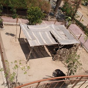 Hurghada Grand Aquarium - Ostrich exhibit, view from walking bridge
