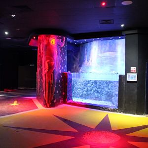 Hurghada Grand Aquarium - Green sea turtle tank