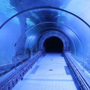 Hurghada Grand  Aquarium - Glass walkthrough tunnel
