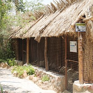 Hurghada Grand Aquarium - Helmeted guineafowl exhibit