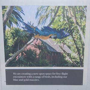 Free Flight Exhibit Sign