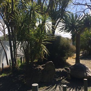 Free Flight Exhibit Construction Area