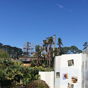 High Canopy Exhibit Under Construction