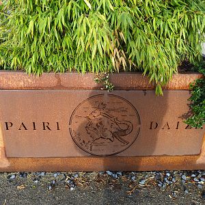 Logo carved in corthen steel on planter, 2019-10-04