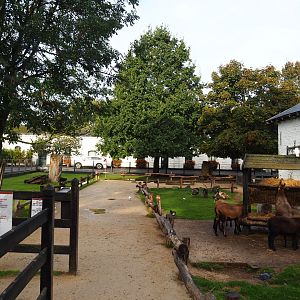 Petting zoo around old abbey coach house, 2019-10-04