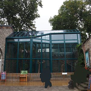 Spix's and Lear's macaw aviaries, 2019-10-04